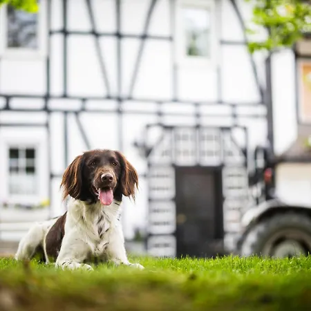 度假居 Hof Koehne - Haus Im Glueck Rechts