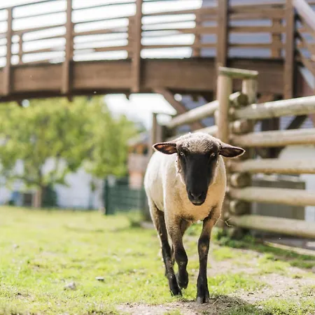 Semesterbostad Hof Koehne - Haus Im Glueck Rechts Schmallenberg