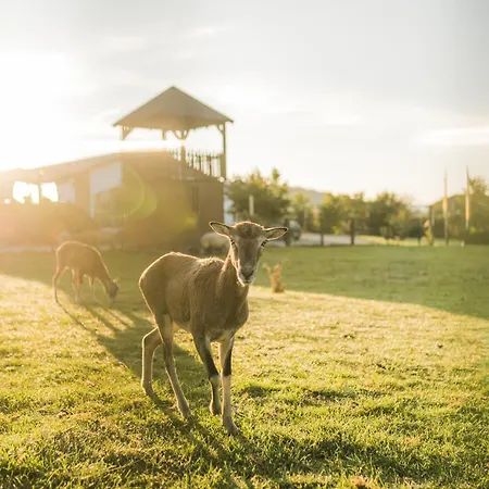 Hof Koehne - Haus Im Glueck Rechts * 施马伦贝格