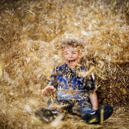 Hof Koehne - Haus Im Glueck Rechts 度假居