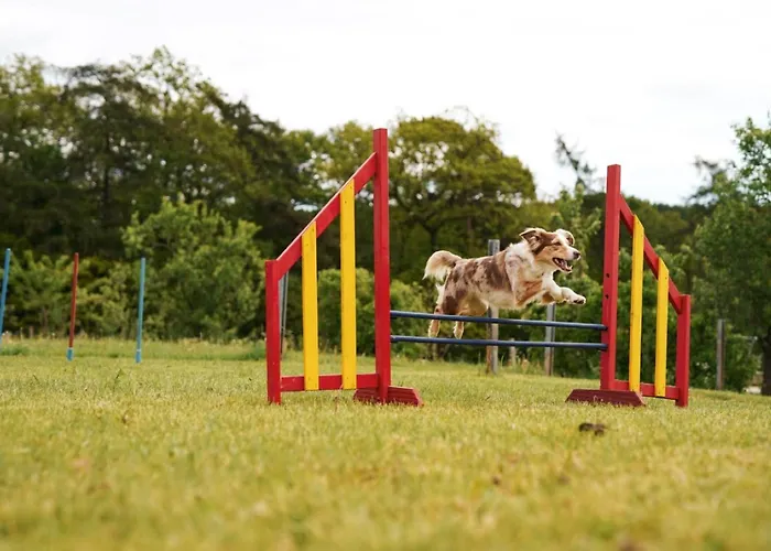 Semesterbostad Hof Koehne - Haus Im Glueck Rechts *