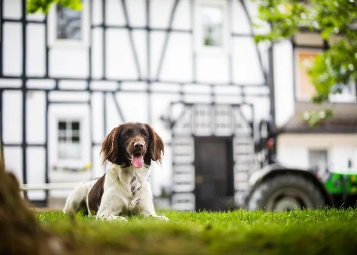 Semesterbostad Hof Koehne - Haus Im Glueck Rechts