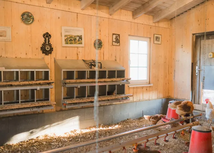 Hof Koehne - Haus Im Glueck Rechts Semesterbostad *