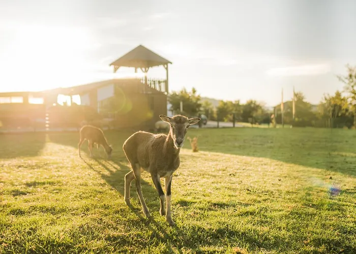 Hof Koehne - Haus Im Glueck Rechts * Schmallenberg